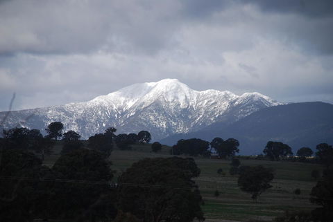 Bluegum Ridge Cottages - Tourism Adelaide 35