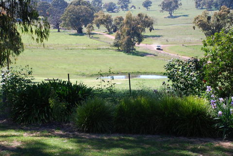 Bluegum Ridge Cottages - Tourism Adelaide 30