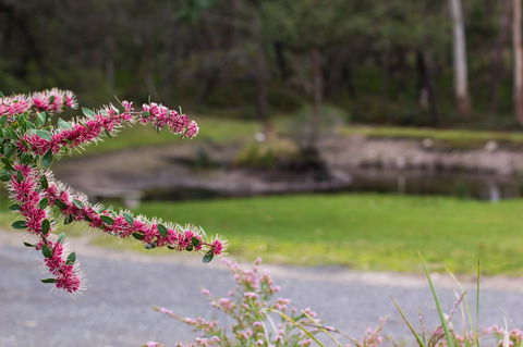 Marwood Villas - Tourism Adelaide 35