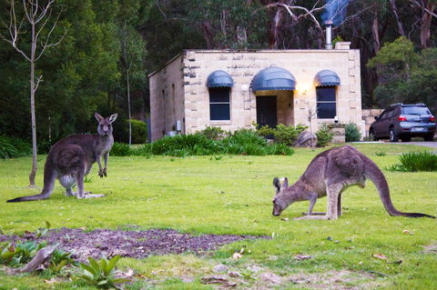 Marwood Villas - Tourism Adelaide 31