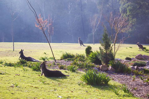 Marwood Villas - Tourism Adelaide 30