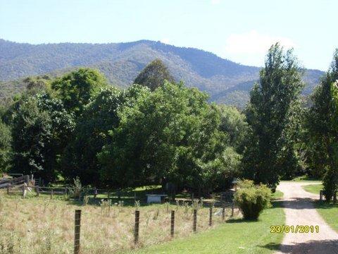 Aspens Springs Farmstay - Tourism Adelaide 30