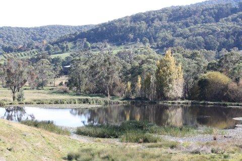 Aspens Springs Farmstay - Tourism Adelaide 29