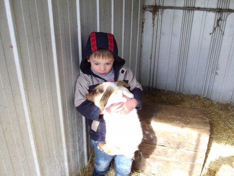 Aspens Springs Farmstay - Tourism Adelaide 28