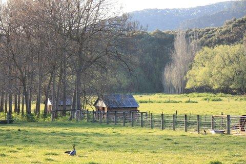 Aspens Springs Farmstay - Tourism Adelaide 25