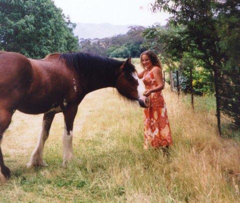 Aspens Springs Farmstay - Tourism Adelaide 31