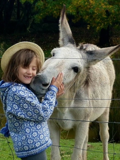 Aspens Springs Farmstay - Tourism Adelaide 32