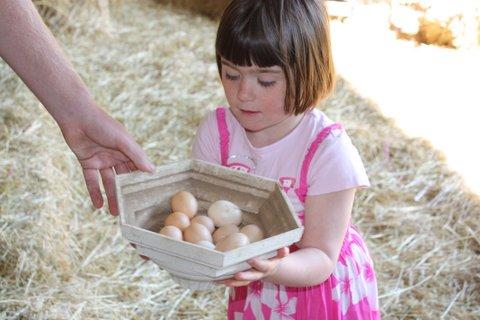 Aspens Springs Farmstay - Tourism Adelaide 27