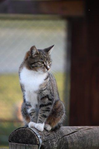 Aspens Springs Farmstay - Tourism Adelaide 24