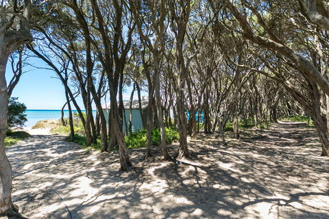 Perfect Blairgowrie Beach House - Tourism Adelaide 17