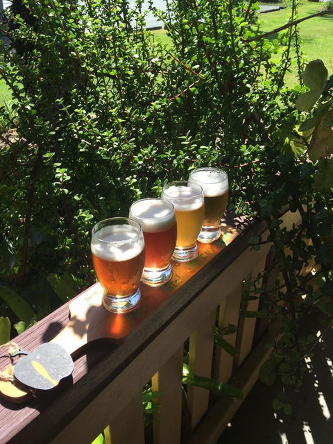 The Bearded Dragon Boutique Hotel - Tourism Adelaide 31