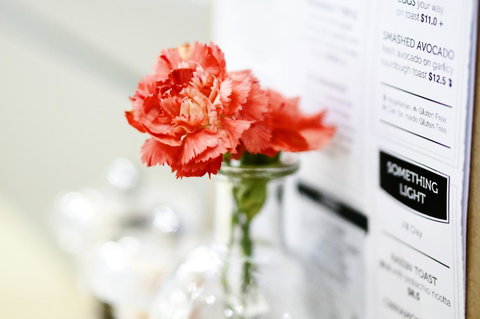 Madison Plaza Townsville - Tourism Adelaide 20