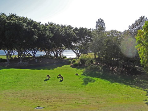 Waterfront Resort Villa With Buggy - Tourism Adelaide 32