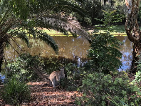 Waterfront Resort Villa With Buggy - Tourism Adelaide 25