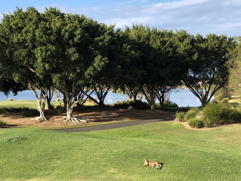 Waterfront Resort Villa With Buggy - Tourism Adelaide 21