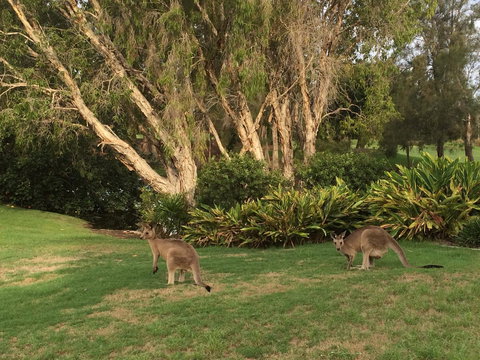 Waterfront Resort Villa With Buggy - Tourism Adelaide 19