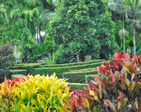 Soho Brisbane - Tourism Adelaide 3