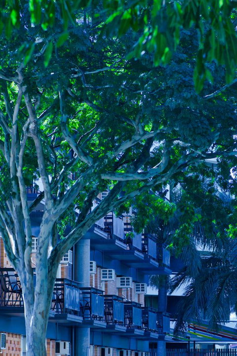 Soho Brisbane - Tourism Adelaide 12