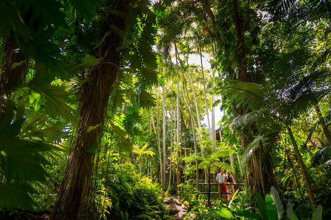 Cairns Colonial Club Resort - Tourism Adelaide 22