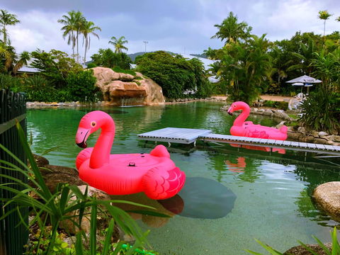 Cairns Colonial Club Resort - Tourism Adelaide 6