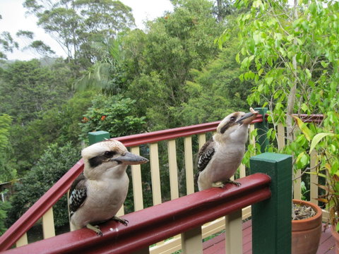 Shasta Place - Tourism Adelaide 12