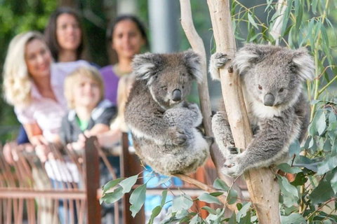 A 3BR Apt Next To Melbourne Zoo FREE Parking - Tourism Adelaide 2