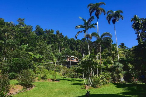 A Daintree Garden - Tourism Adelaide 0