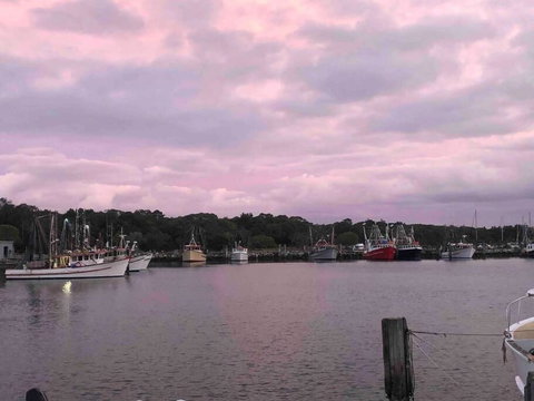 Aloha Iluka! - Tourism Adelaide 1