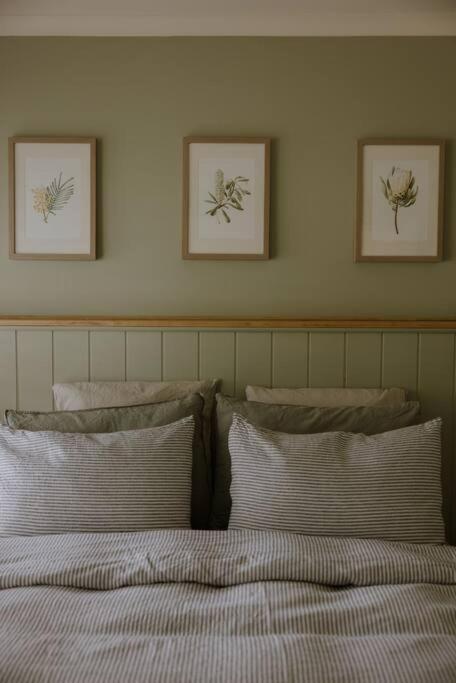 Amarela Haus - Calming Retreat Within Oceans Reach - Tourism Adelaide 0