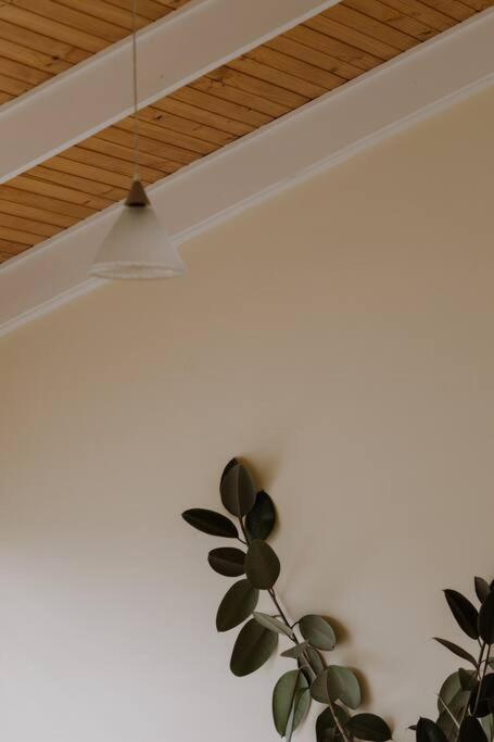 Amarela Haus - Calming Retreat Within Oceans Reach - Tourism Adelaide 1