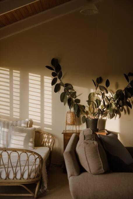 Amarela Haus - Calming Retreat Within Oceans Reach - Tourism Adelaide 2