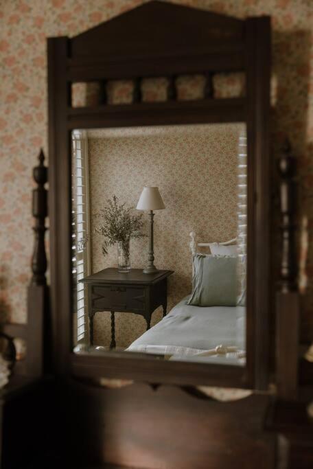 Amarela Haus - Calming Retreat Within Oceans Reach - Tourism Adelaide 3