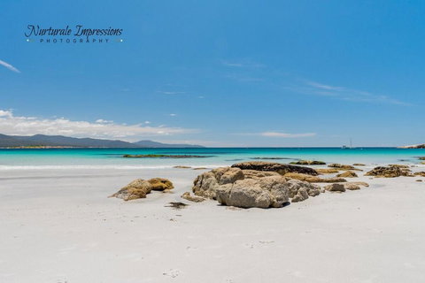 Anchors Away - Tourism Adelaide 4