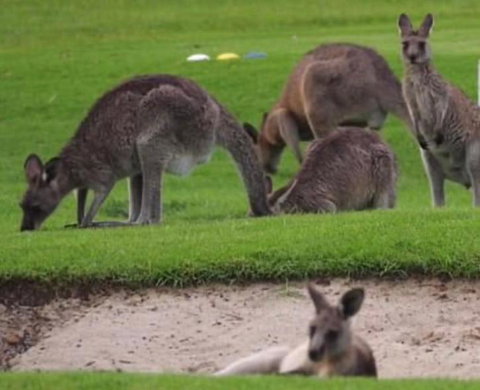 B & B On The Water - Tourism Adelaide 3
