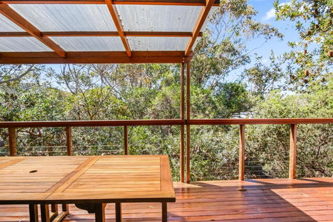 Banksia Tops - Tourism Adelaide 3