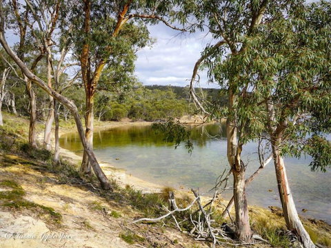 Banyula Cove By Tiny Away - Tourism Adelaide 4