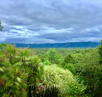 Daintree Manor BB - Tourism Adelaide