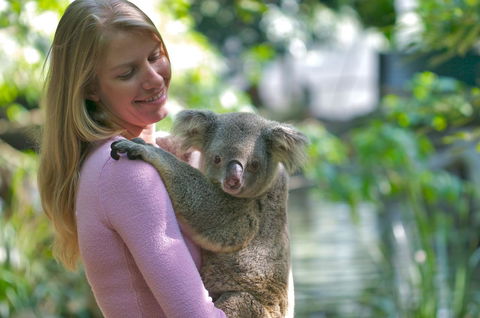 Martinique On Macrossan - Tourism Adelaide 30