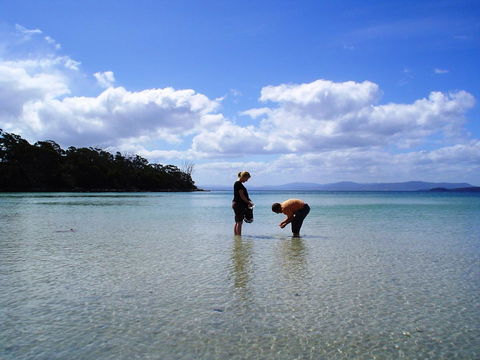 Bruny Island Escapes And Hotel Bruny - Tourism Adelaide 36