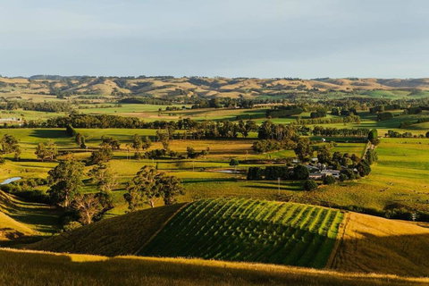 Belrose Estate By Tiny Away - Tourism Adelaide 3