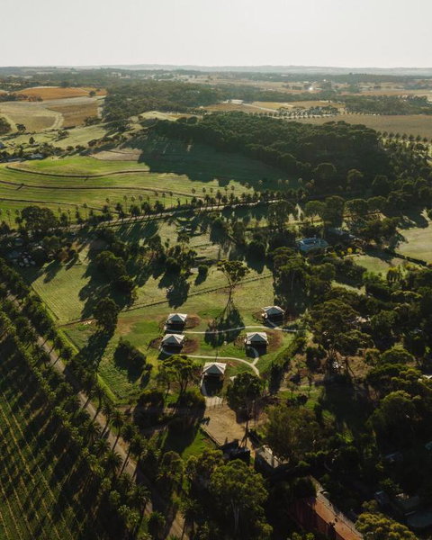 CANVS By CABN Seppeltsfield Barossa - Tourism Adelaide 1