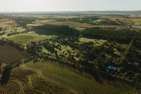 CANVS By CABN Seppeltsfield Barossa - Tourism Adelaide 2