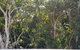 CHILL-OUT BEACHSIDE - Main Beach Forster - thumb 1