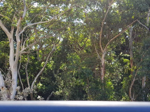 CHILL-OUT BEACHSIDE - Main Beach Forster - Tourism Adelaide 1