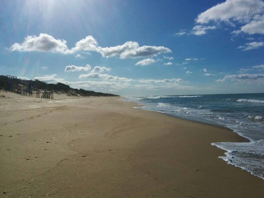 Seaspray ACT Tourism Adelaide