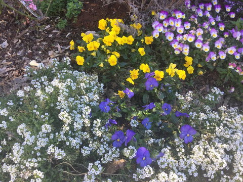 A Very French House - Tourism Adelaide 2