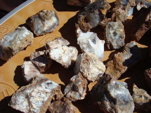 Acclaim Gateway Tourist Park - Tourism Adelaide 1