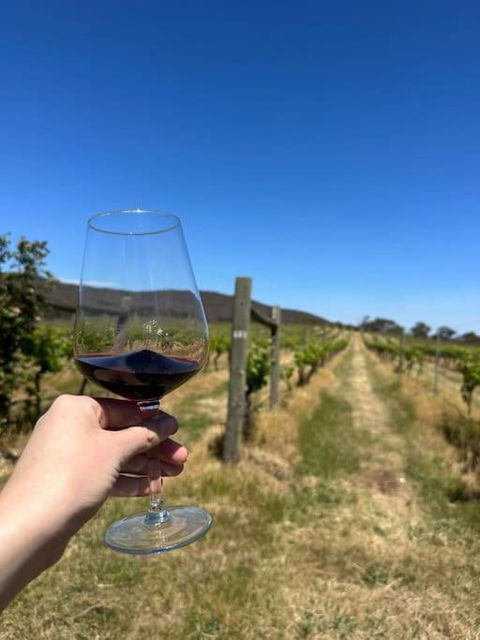 Downing Estate Homestead - Tourism Adelaide 4