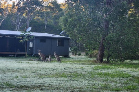 EcoRetreat 1770 - Tourism Adelaide 4