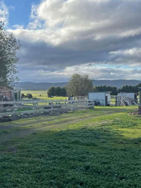 Fassifern Tiny House 1 By Tiny Away - Tourism Adelaide 1